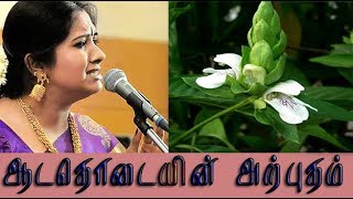 Justicia adhatoda medicinal uses  ஆடாதொடையின் வைத்திய முறைகள் [upl. by Eikcuhc427]