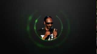 Snoop Dogg  Smoke Weed Every Day Remix BOOSTED BASS [upl. by Armalla]