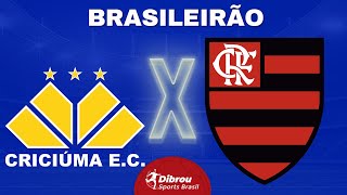 CRICIÚMA X FLAMENGO AO VIVO BRASILEIRÃO DIRETO DO HERIBERTO HÜLSE  RODADA 37  NARRAÇÃO [upl. by Kus]