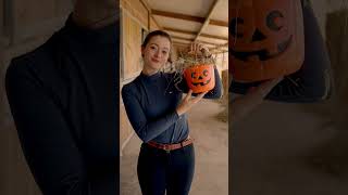 HALLOWEEN AT THE STABLES 🎃 cheval equitation equestrian poney halloween pumpkin [upl. by Sande734]