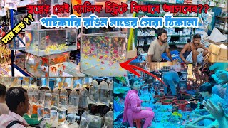 Galiff Street Pet Market Kolkata  Recent Aquarium Fish Price Update  Gallif Street Fish Market [upl. by Etteinotna]