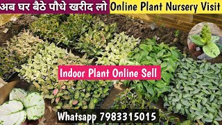 ऑनलाइन घर बैठे पौधे खरीदीये👌Online Plant Nursery Visit👌Tulip Organic Nursery Visit👌 [upl. by Alil]