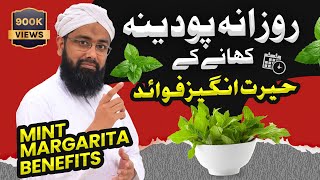 Health Benefits of MINT  PUDINA ke Fayde aur Nuksan  Soban Attari  Mint Margarita Recipe [upl. by Elamaj]