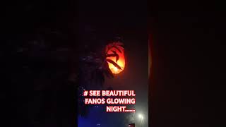 SEE BEAUTIFUL FANOS GLOWING NIGHT [upl. by Harriett30]