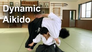 Dynamic and Technical Aikido  Shirakawa Ryuji shihan [upl. by Westbrook]