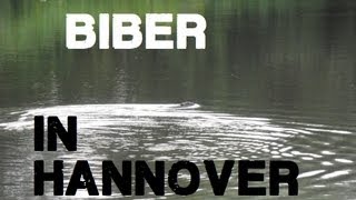 Biber amp Störche in Hannover [upl. by Lotti]