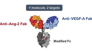 Faricimab mechanism of action [upl. by Enaled114]