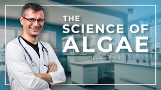 The Science of ALGAE [upl. by Blank135]