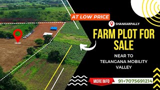 Plots For Sale in Shankarpally Mominpet  Farm Plot for Investment at 7999 per SqY  hyderabad [upl. by Aslin]