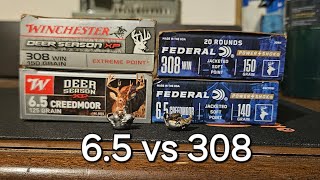 65 creedmoor vs 308win  federal powershok amp winchester deer season xp  100 yards gel test [upl. by Beetner]