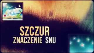 Sennik Szczur  Odkryj Znaczenie Snów o Szczurze  Sennikbiz [upl. by Any]