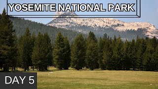 Serenity Unveiled Exploring Tuolumne Meadows in Yosemite National Park  Day 5 Adventure [upl. by Hiamerej]