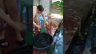 Done Ligo na hahaha fyp dog davaocity shortvideos [upl. by Denys]