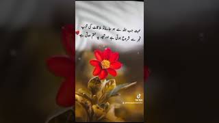 Muhabbt JB Allah sy ho jyashortvideo [upl. by Aidyn23]