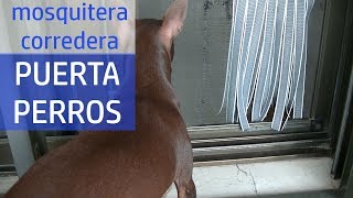 Cómo hacer una puerta para perros en mosquitera corredera [upl. by Lodovico]