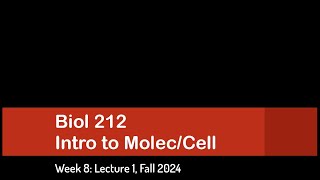 CSULB Biol 212 Fall 2024  Week 8 Lecture 1 [upl. by Tirrell]