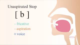 b  voiced unaspirated bilabial stop [upl. by Nevsa888]