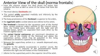 Norma frontalis and verticalis of skull part 1 [upl. by Noemys645]