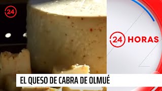 Chile Conectado  El queso de cabra de Olmué  24 Horas TVN Chile [upl. by Bayless]