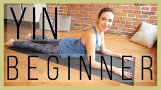 45 min Beginner Yin Yoga  Full Body Stretch Episode 366 [upl. by Osei]