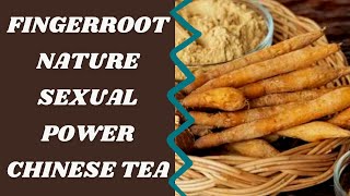 Amazing Health Benefits Of Fingerroot Chinese Ginger Can Fingerroot Ward Off Covid19 [upl. by Helga]