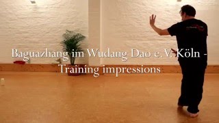 Bagua  impressions from our training in Köln  Wudang Dao eV [upl. by Boser688]