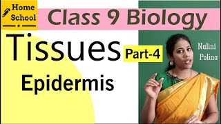 Tissues class 9 Biology Part4 [upl. by Stiles]