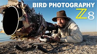 Bird Photography With Homemade Sled [upl. by Pepi693]