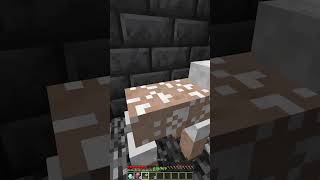 How To Escape Lucky Trap Moment shorts minecraft meme [upl. by Shiroma]