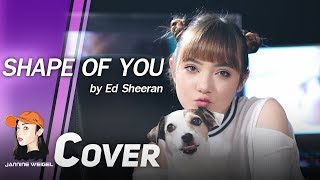 Ed Sheeran  Shape of You cover by Jannine Weigel ftTyler amp Ryan [upl. by Ojeillib465]