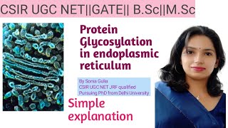 Protein glycosylation in Endoplasmic Reticulum [upl. by Iahk944]