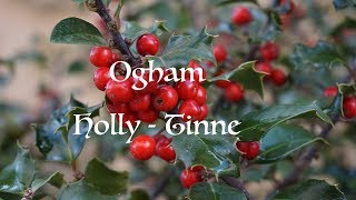 Learn the Ogham Holly  Tinne [upl. by Akciret11]