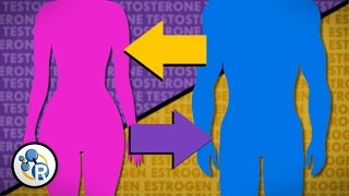 Hormones and Gender Transition [upl. by Daley]