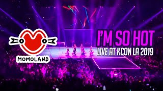 MOMOLAND  Im So Hot Performance at KCON LA 2019  FAN CAM [upl. by Southard310]