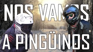 Nos vamos a PINGÜINOS Motoseries en pingüinos  Pt1 [upl. by Aliuqahs]