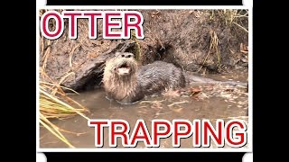 Otter Trapping 2014 in Minnesota [upl. by Yablon]