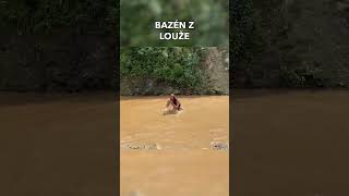 Bazén z louže  SHORT [upl. by Cummins524]