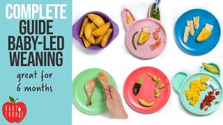 Complete Guide to BabyLed Weaning [upl. by Brade162]