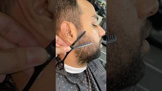 Pointed Beard Cut Styles adi beard skincare barber [upl. by Ynnek913]