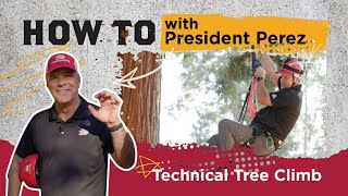 How to Tree Climb With Chico States President [upl. by Dich]