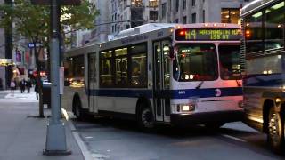 NYCTA  MTA Bus  Orion VII Hybrid 6401 Orion V MCI D4500 D4500CL amp D4500CTs  Madison Ave [upl. by Rotciv]