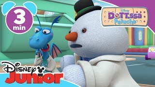 Dottoressa Peluche Ospedale dei giocattoli  Una diagnosi perfetta  Disney Junior Italia [upl. by Mchale]