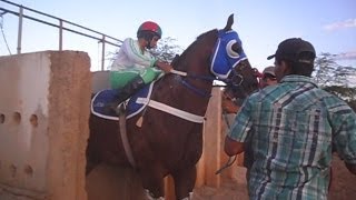 Corrida de Cavalo em Ibititá Cobertura RFNOTICIASCOM 13042013 [upl. by Anitsuj589]