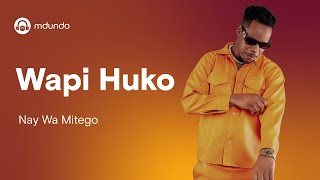 Nay Wa Mitego  Wapi Huko Lyrics [upl. by Dhu]