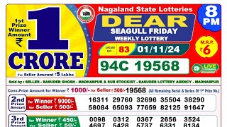 NAGALAND STATE SEAGULL FRIDAY 8 PM EVENING LOTTERY LIVE RESULT DATE ON 01112024 [upl. by Alyhc930]