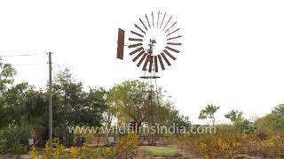 Wind mill Gujarat  Renewable energy for rural India combination of international tech and jugaad [upl. by Eintruok]