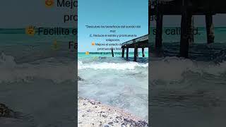 Beneficios del sonido del mar nature relaxing [upl. by Akirdnahs]