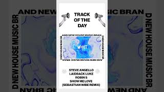 Track Of The Day Steve Angello amp Laidback Luke ft Robin S  Show Me Love Sebastian Wibe Dub [upl. by Assen]