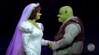 Shrek the Musical quotThis Is Our Storyquot Full HD Spanish Subtitles [upl. by Lauren69]