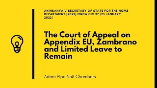 The Court of Appeal on Appendix EU Zambrano and Limited Leave to Remain [upl. by Sami]